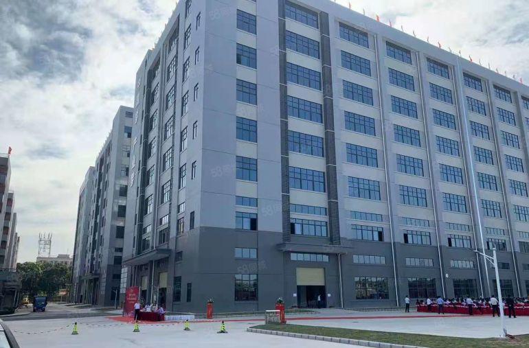 塘厦科苑城新出原房东50000平独门独院厂房仓库出租,可分租