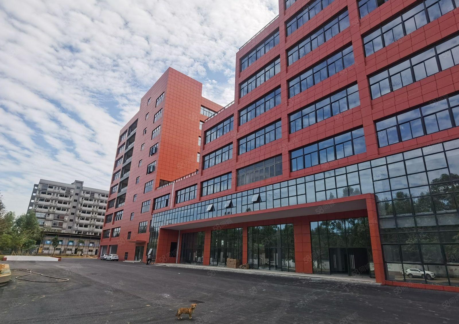 塘厦高速口沙湖新出原房东带红本10万平一楼9米高厂房仓库出租