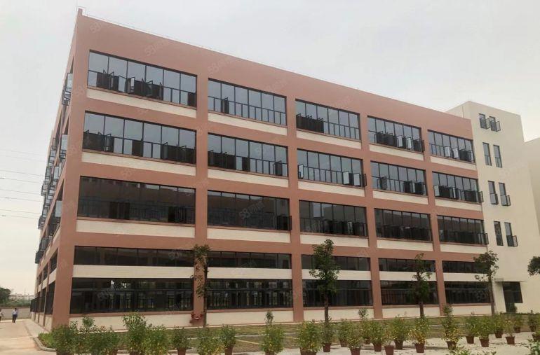 原业主实际面积招租！塘厦沙湖独栋10000平红本厂房仓库出租