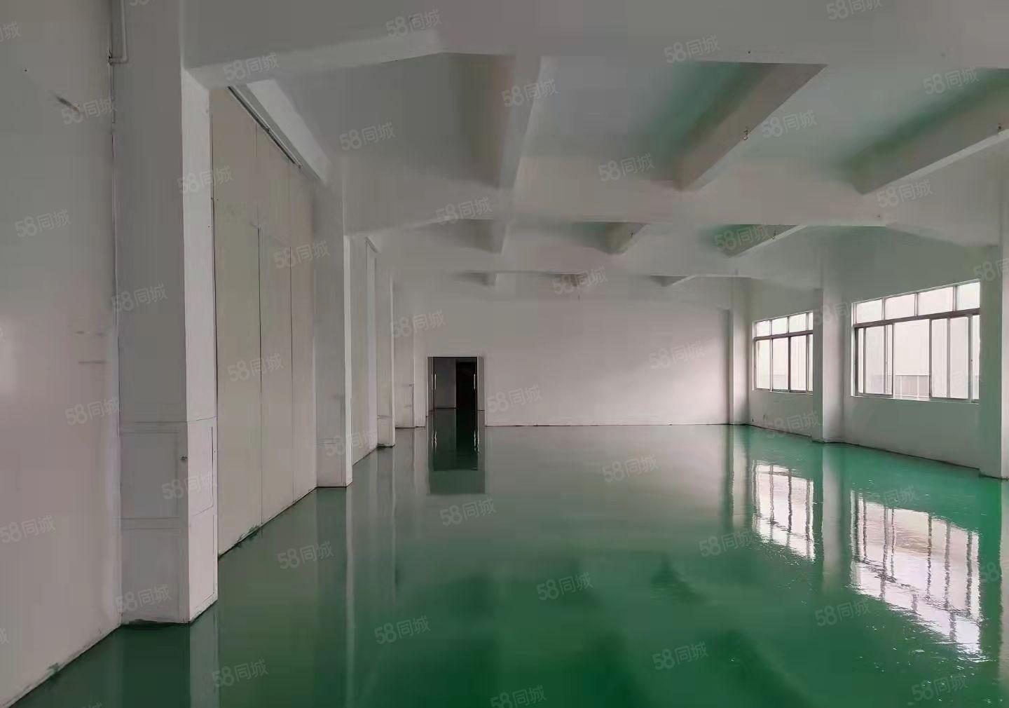 东莞塘厦新出楼上标准厂房1300平方