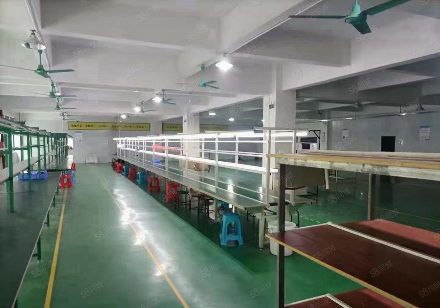 塘厦凤凰岗红本厂房出租1500平二楼 带装修水电齐大小可分