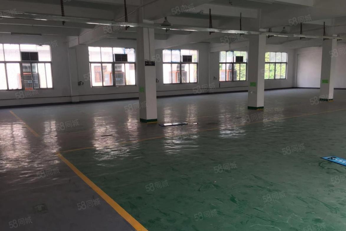 塘厦田心独栋标准两层1900平，园区厂房带装修，形象好。