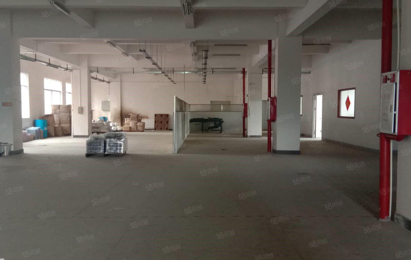 货车可直接开到厂门口，大坪临深新出1楼1000平方厂房出租