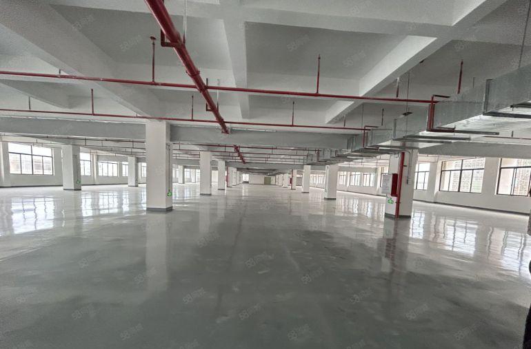 塘厦近深圳全新厂房15万平方！可做电池！大小可分租！
