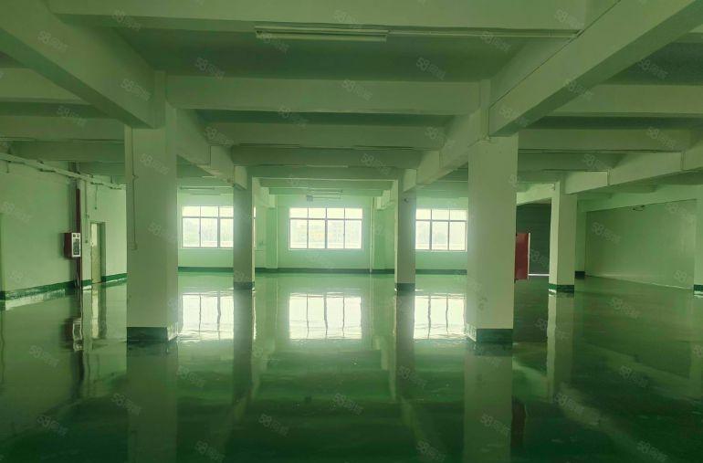 1400平精装修标准厂房2楼零公摊实际面积报12元可谈