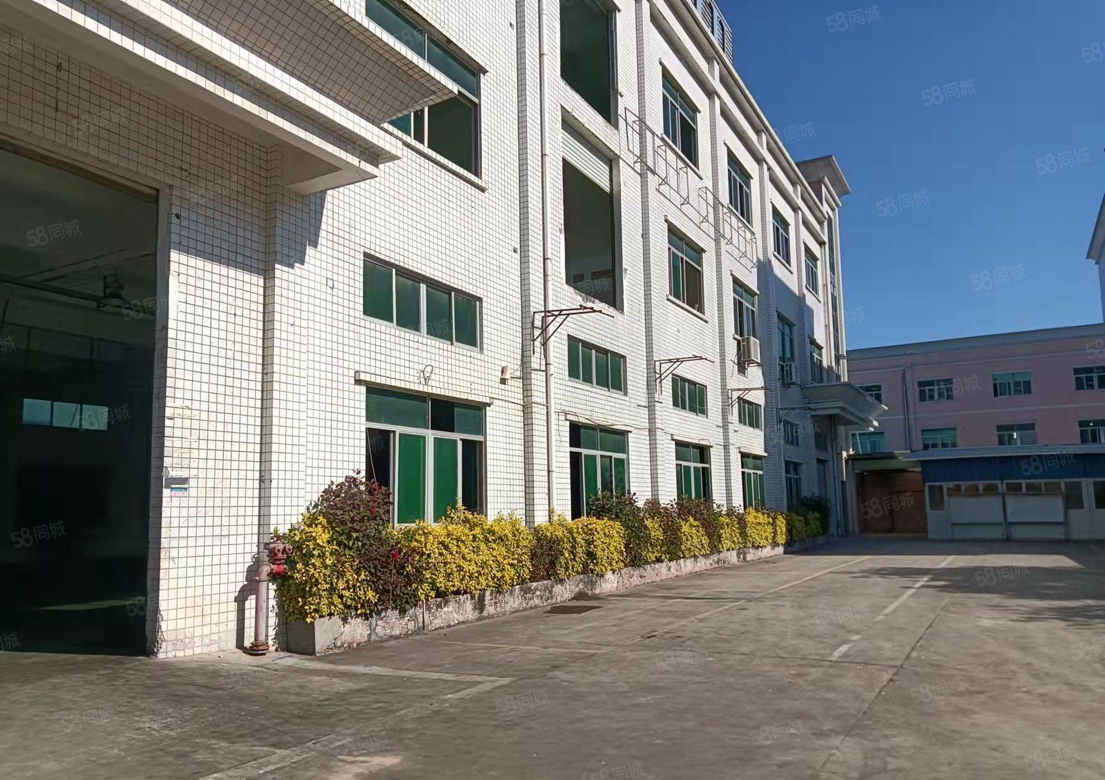 东莞塘厦莆心湖新出标准厂房一楼1500平米出租