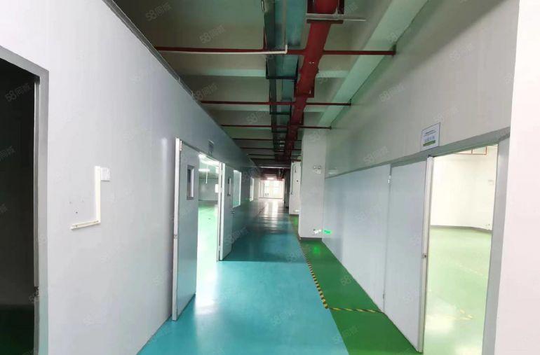 科苑城房东实际面积放租，价格好谈 非常漂亮 形象好的标准厂房