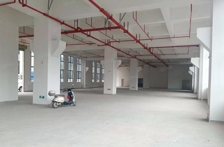 塘厦重工业厂房！一手房东0公摊直租 一楼带牛角五金压铸塑胶等