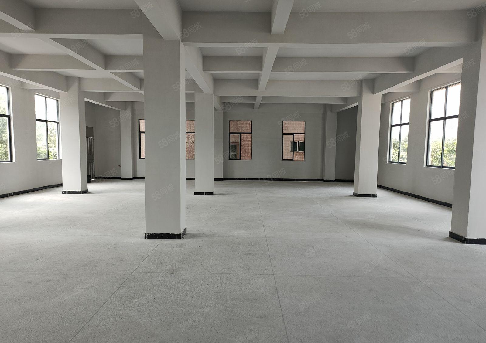 原房东！！！塘厦平山独院小厂房招租，位置好