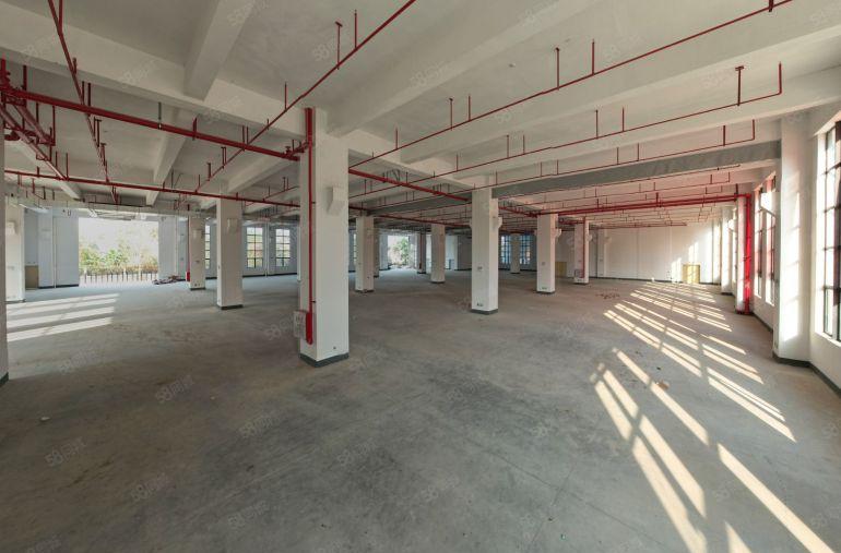 东莞塘厦沙湖全新高标厂房出租