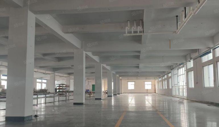 塘厦全新厂房一楼 门口进出大车随便停 欢迎实看