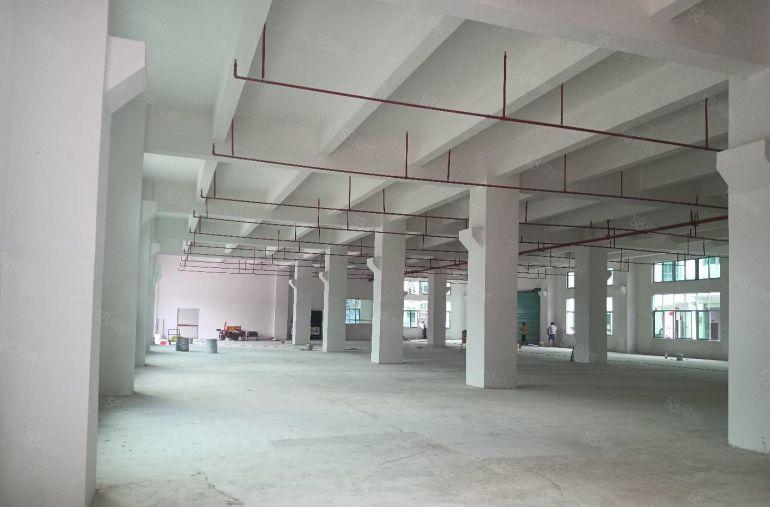 塘厦石鼓工业区独院厂房出租5000平米可分租500平米起分租