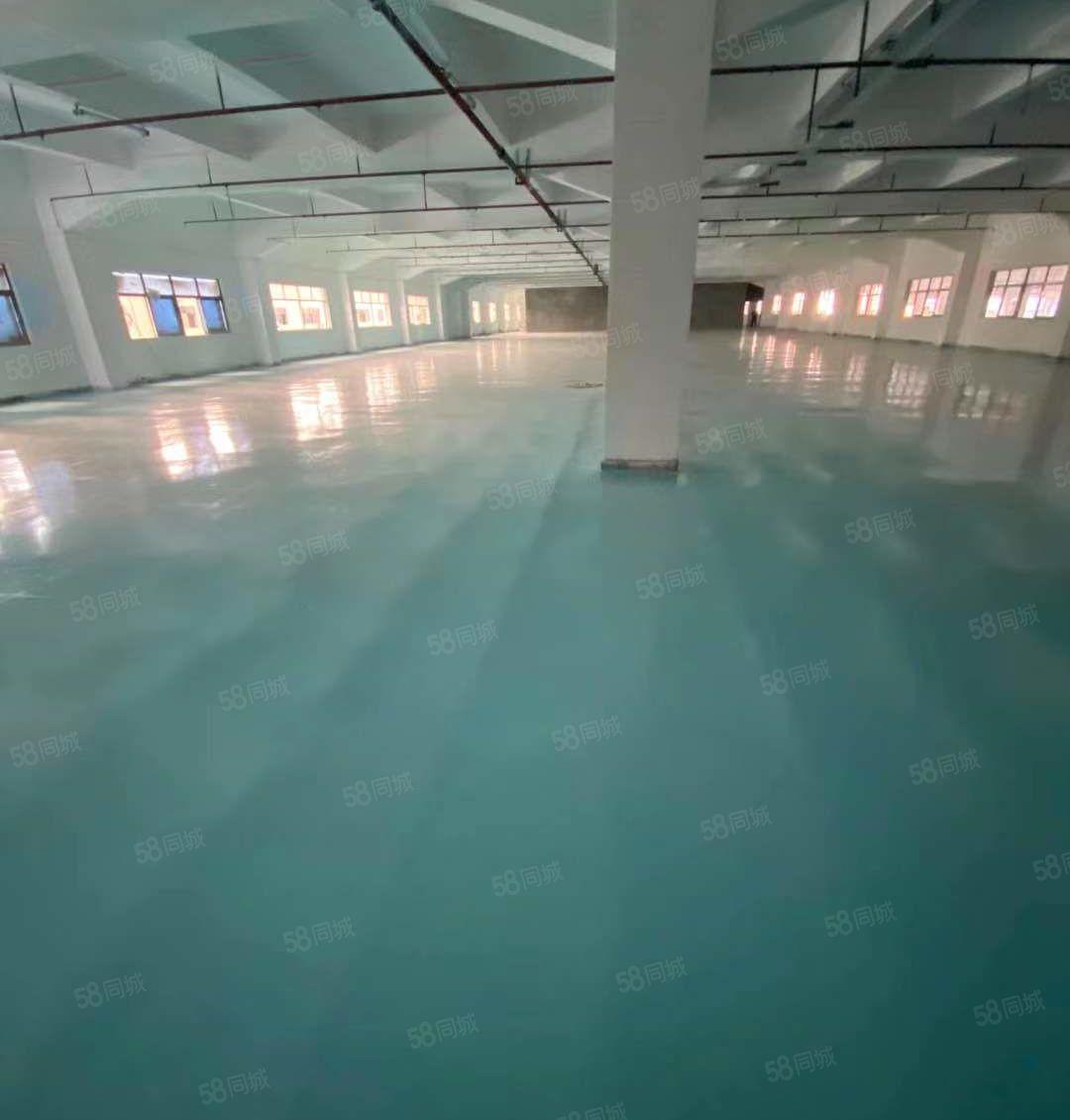 塘厦石鼓楼上标准厂房2600平大小可分租，消防喷淋，现成装修