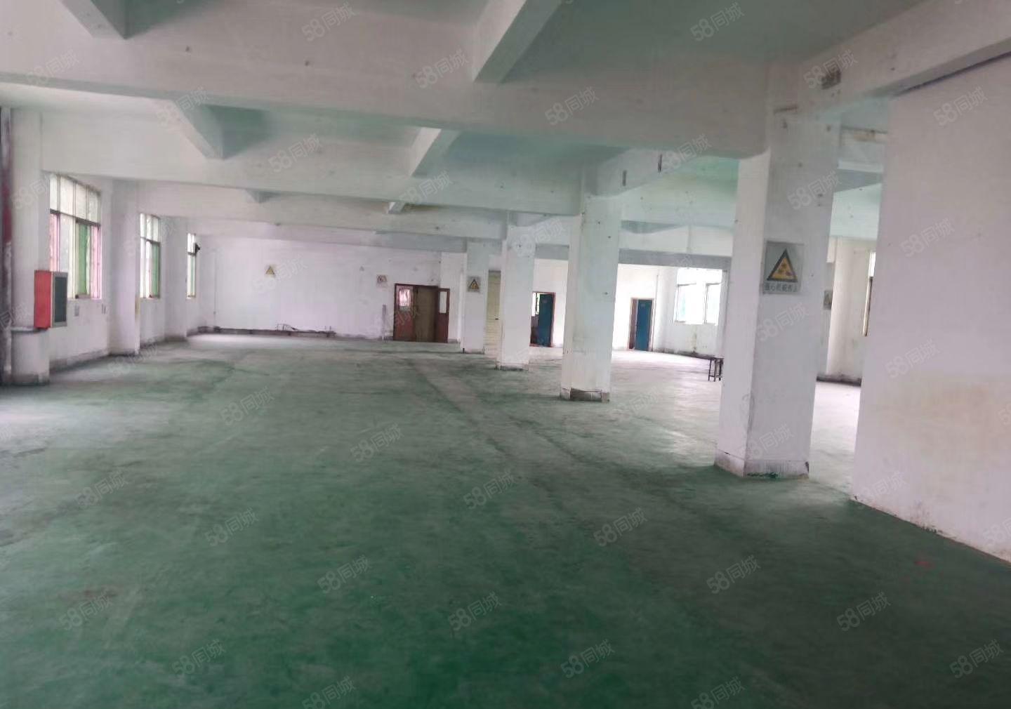 寮步镇莞樟路边楼上新出600平出租，可做加工，仓库