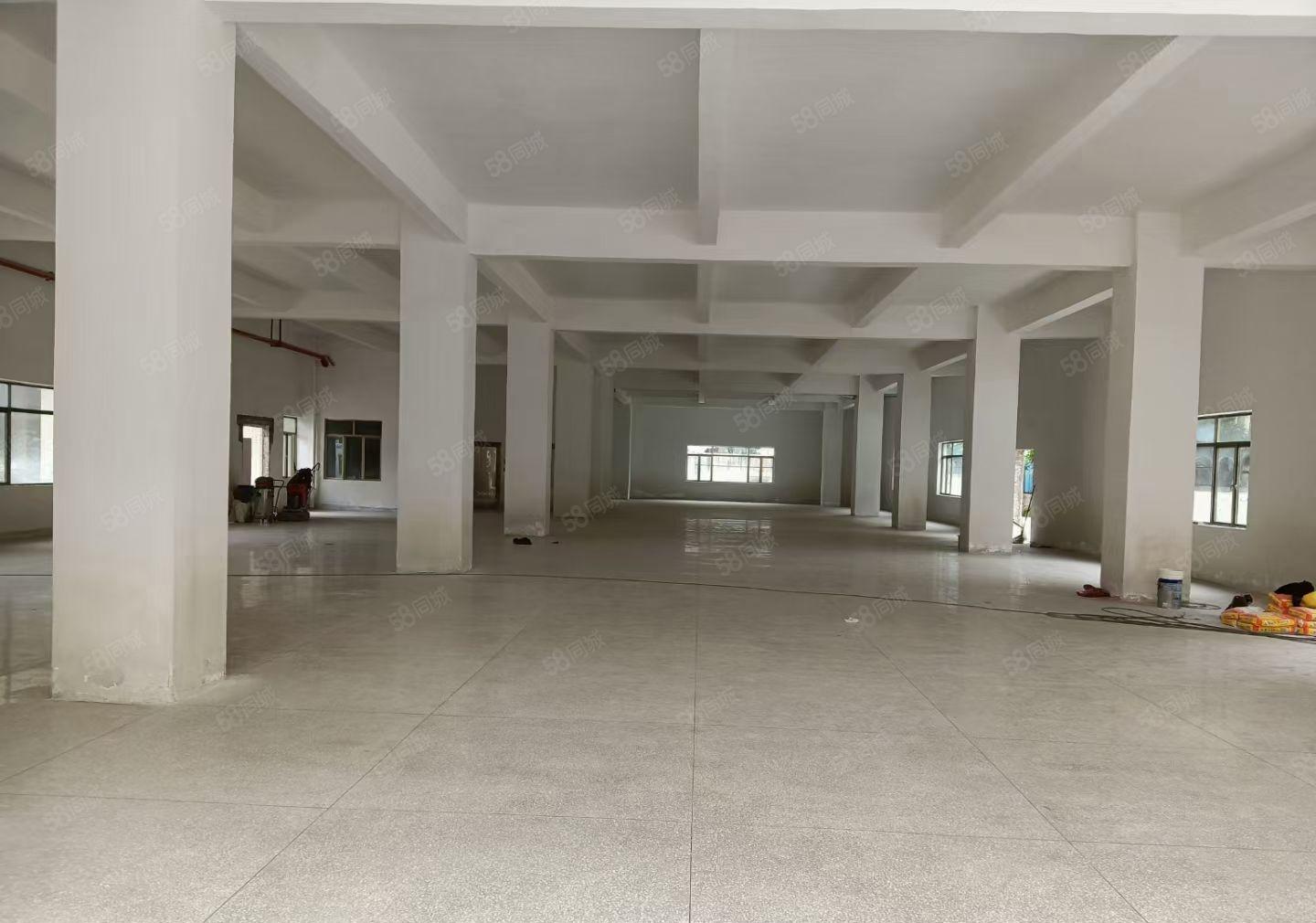 岭厦村岭厦二巷37号全新标准一楼高5米整层