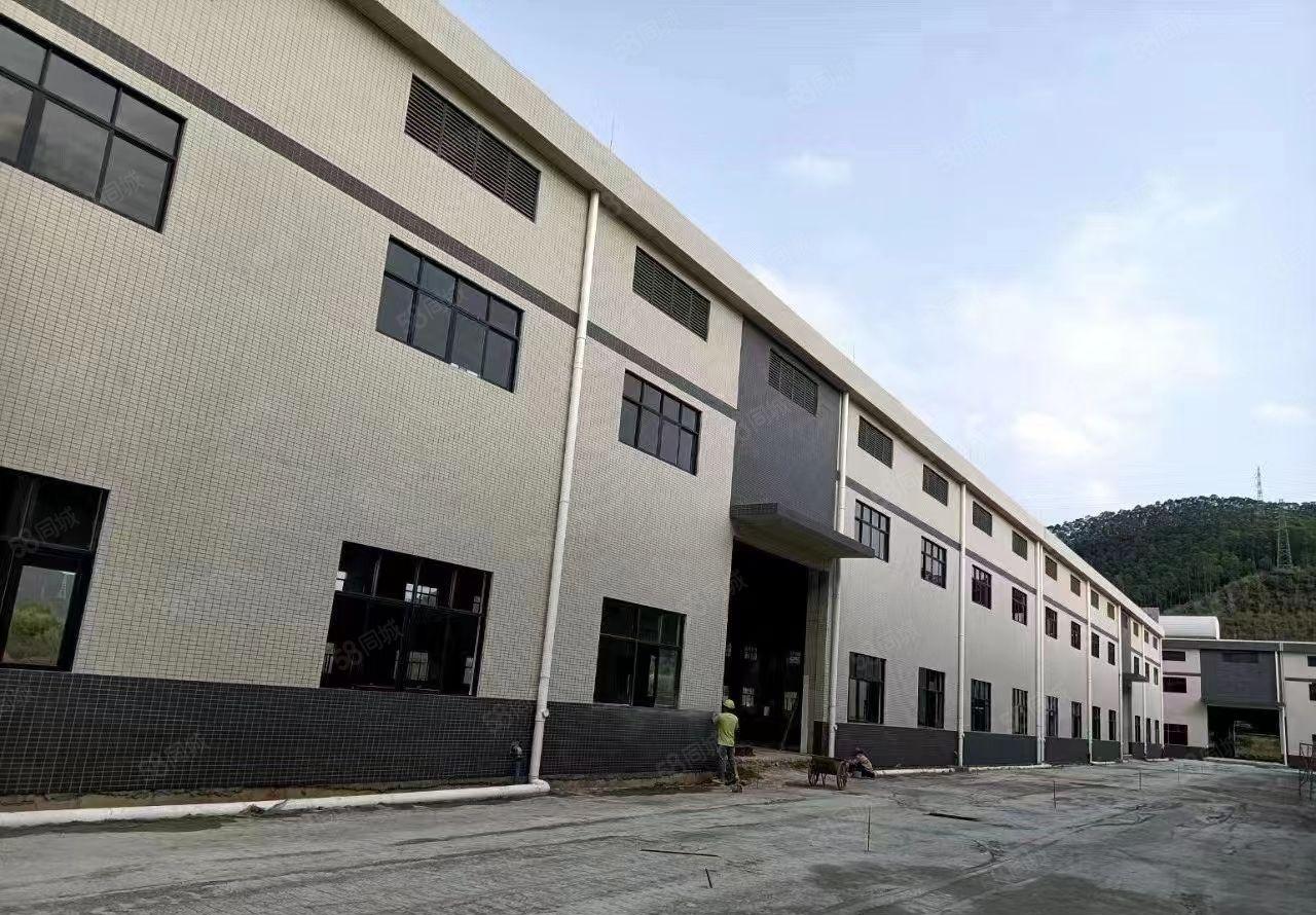 寮步9米高钢构3000平方出租，可做仓库物流 可分租