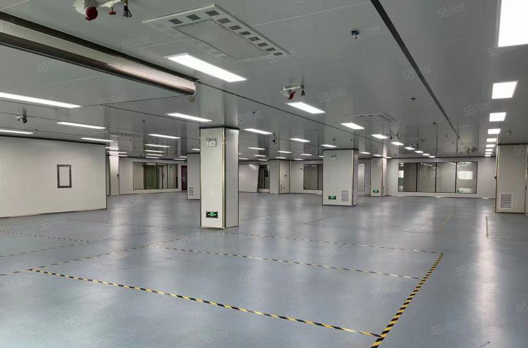 科技园2楼整层1200平无尘车间小面积厂房出租，不需要转让费