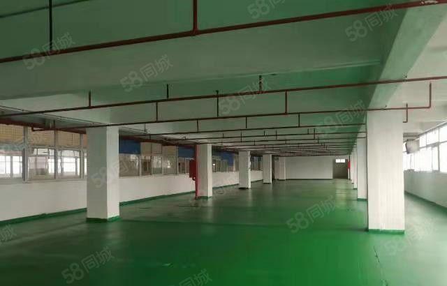 寮步 西溪 大型科技园20万平方,分租8元起，形象好空地大