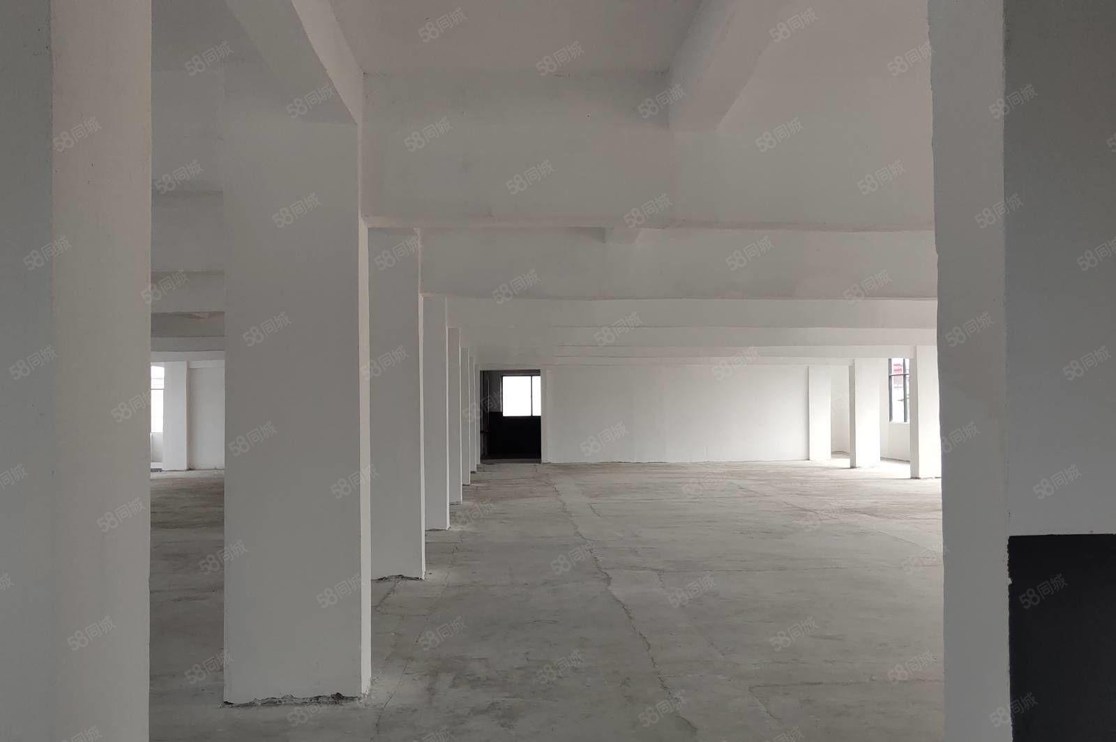 寮步上屯附近全新厂房低价出租，大小分租！！！