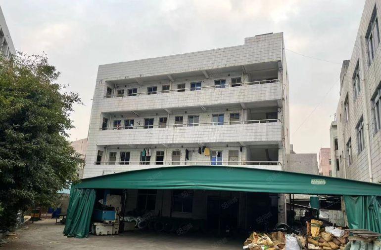 寮步经典独门独院，总面积3800，出租15元