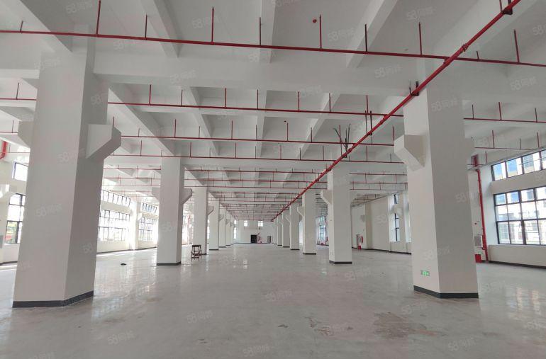 寮步原房东全新25300平方厂房出租，单层2530平方起分租