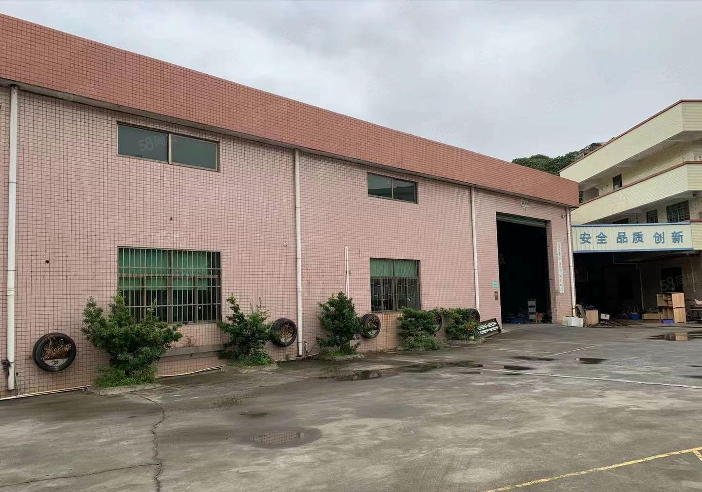 自营的干起！寮步1800平独院钢构厂房，原房东出租价格实惠