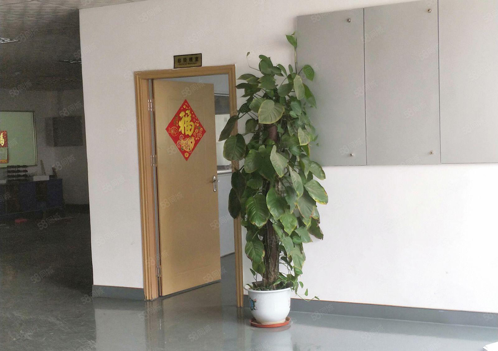 寮步 良边 独院厂房 分租 一楼300平方，价格便宜地段好