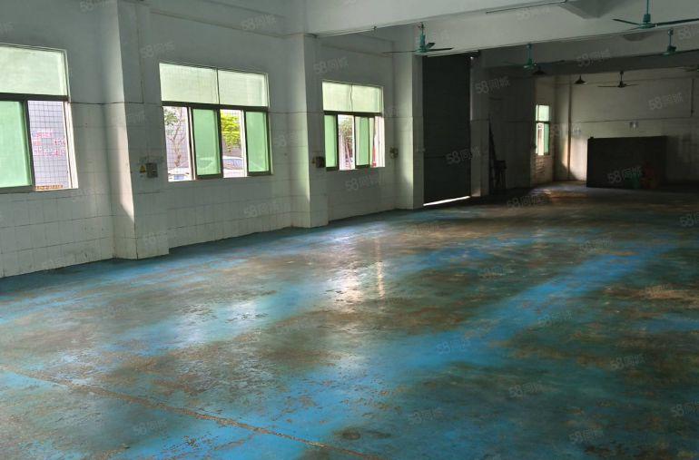 寮步凫山一楼500平方 现成水电办公室