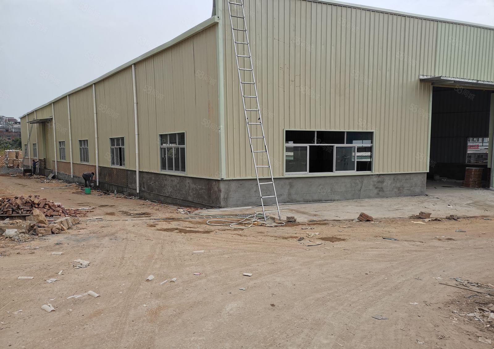 原房东出租独院单一层6米高铁皮房700平方米