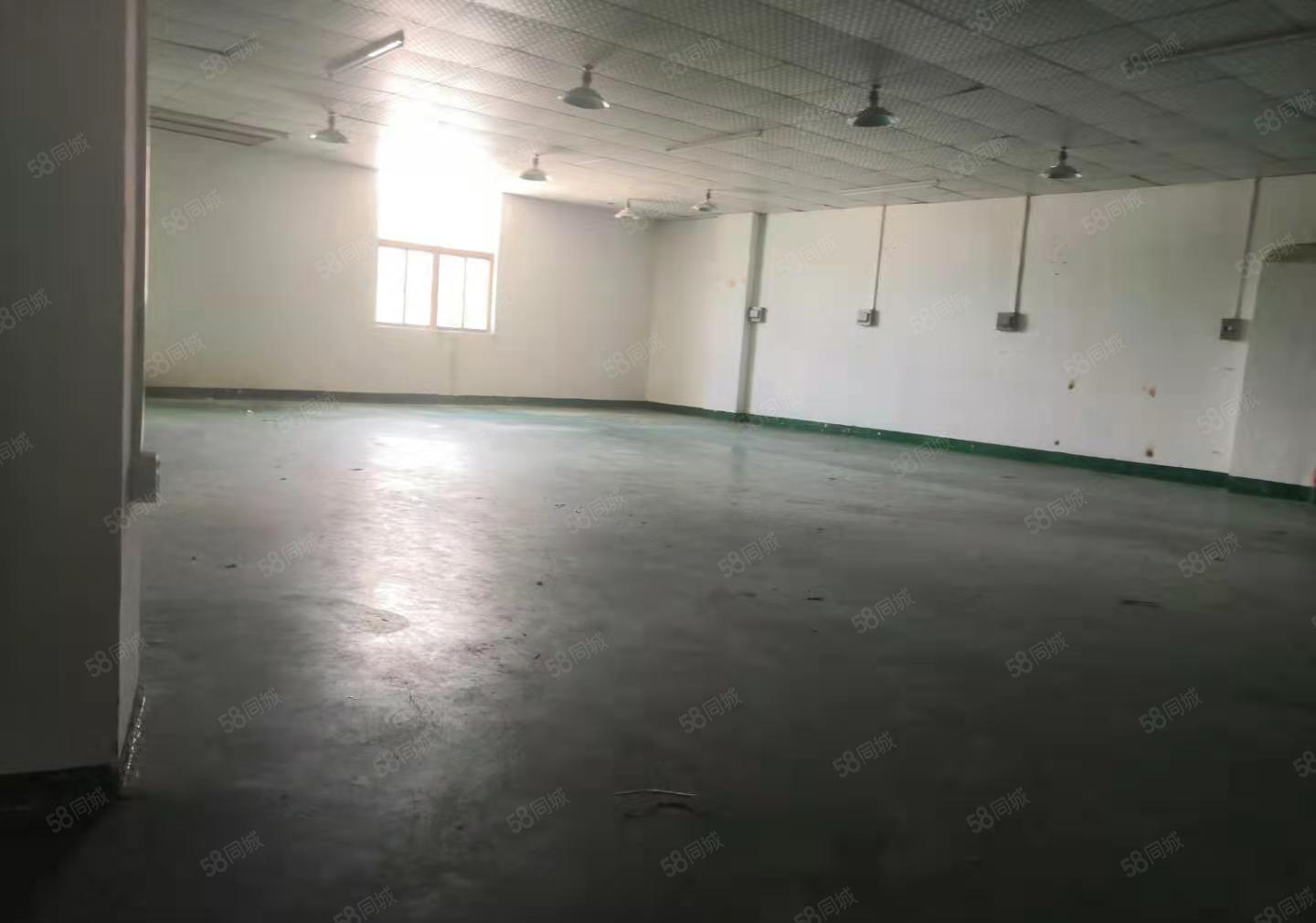 寮步岭夏原房东新出标准厂房500平出租，车间带绿色地坪漆。