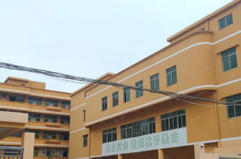 寮步 向西 路口 小厂房 700平方,7元急租！好招工