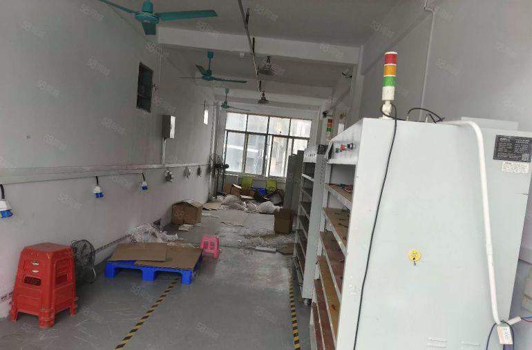 寮步良边标准独院厂房500平方出租  现成装修