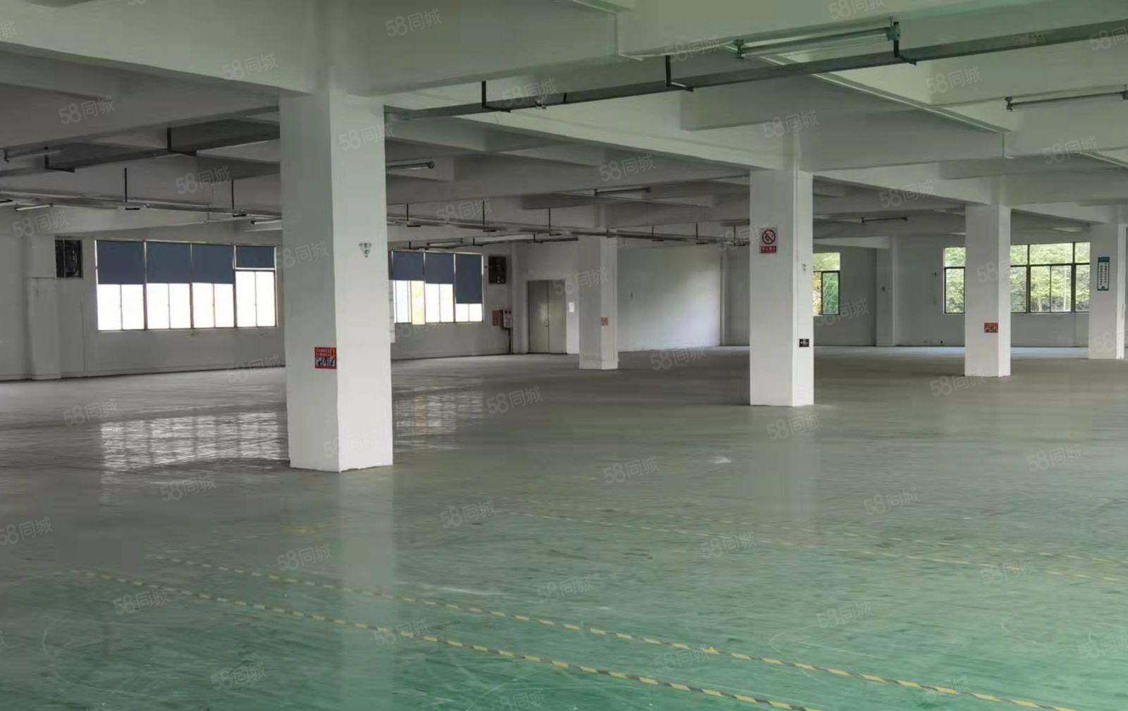 不限电！不限电！寮步向西三楼整层2400平厂房底价出租