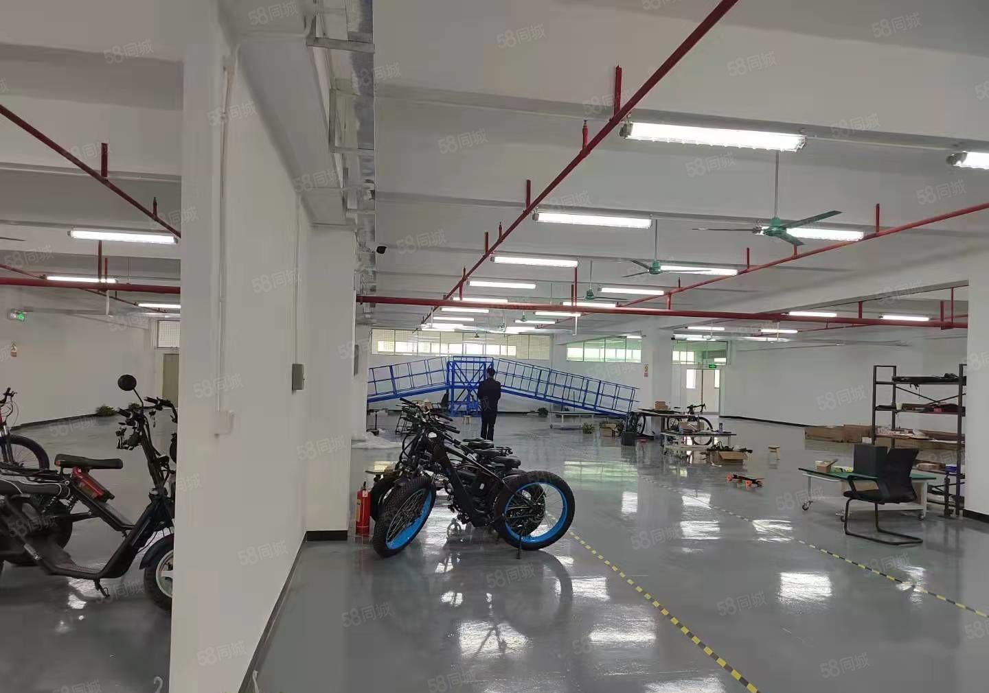 寮步新推出独门独院原房东厂房出租19800平方形象好空地大