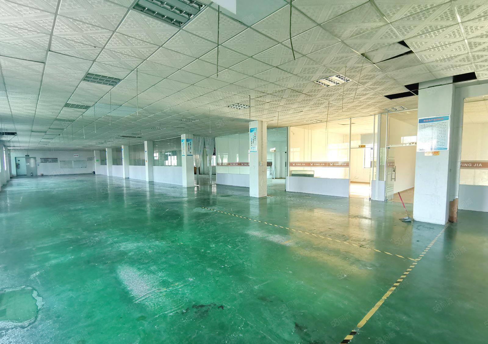 原房东出租独院三层厂房总建筑面积6800平方米