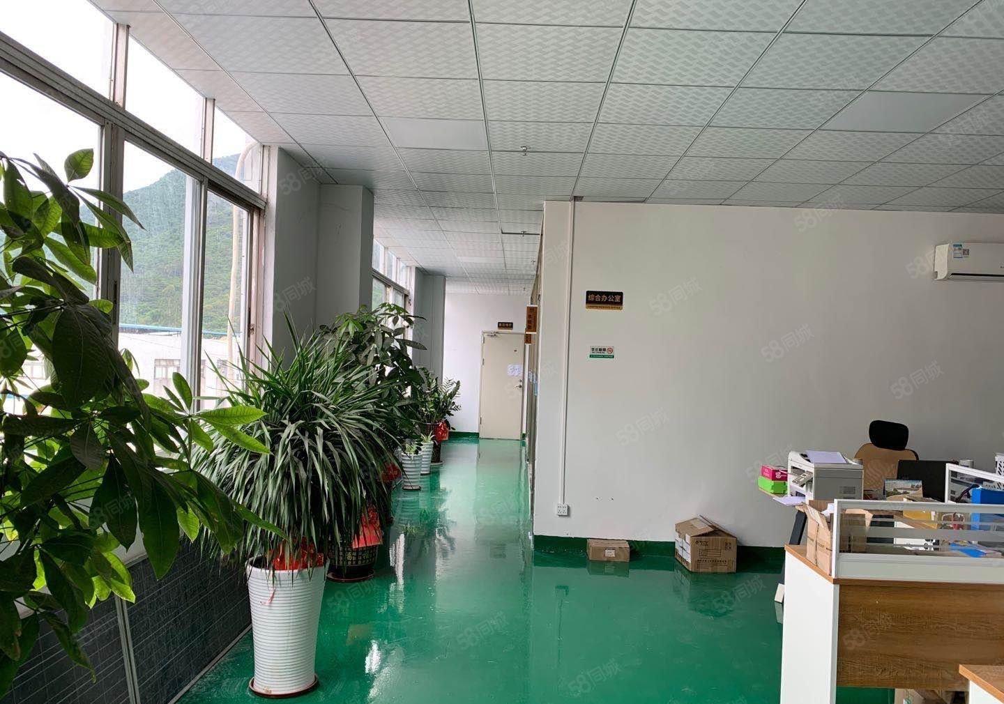 东莞寮步新空置出原房东楼上厂房分租水电齐全工业用地可办环评