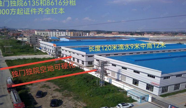 东莞全新标准物流园，2000平起租，交通便利，空地大