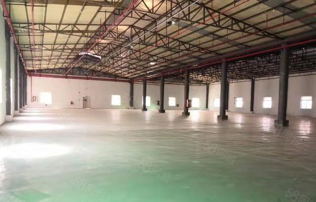 寮步华南城钢构厂房出租2000平方，滴水8米高