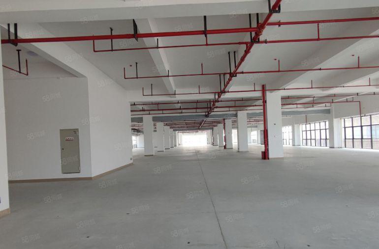 原房东有红本，高标生产型厂房，设备太大，太重，太高都放得下