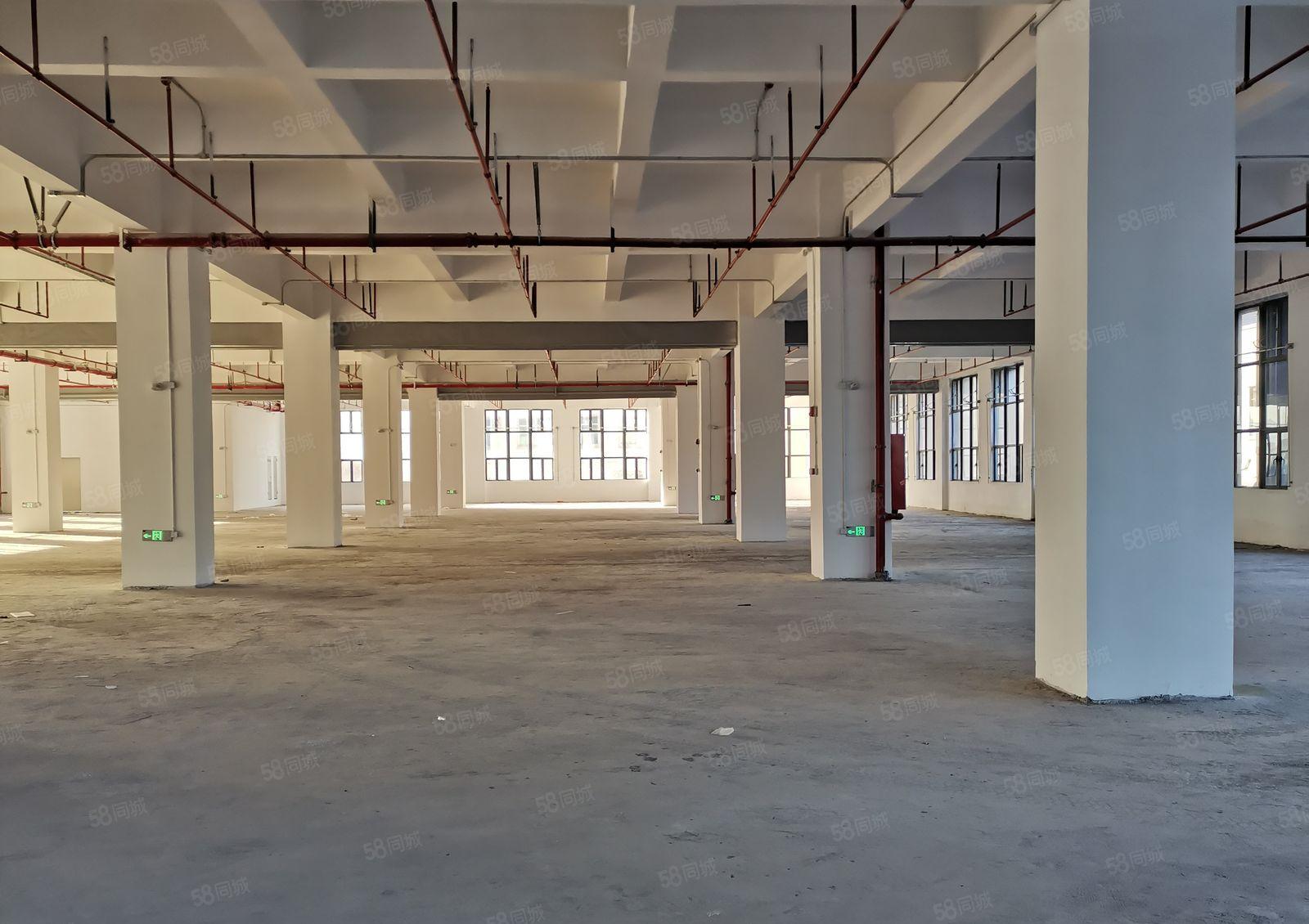 寮步阳极氧化园 带排污水废气环评厂房出租，大小可分寮步厂房出