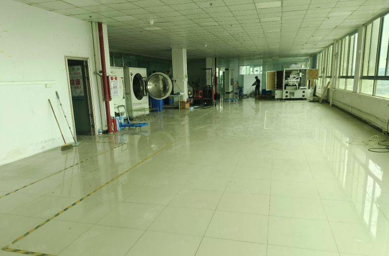 寮步泉塘标准独院厂房1000平方出租 精装修