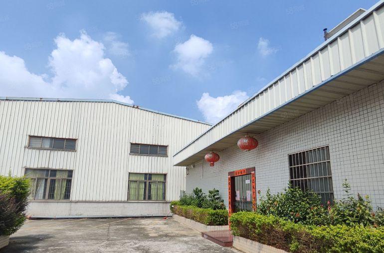 寮步石步原房东单一层独院1550平方厂房出租高7.5米带装修