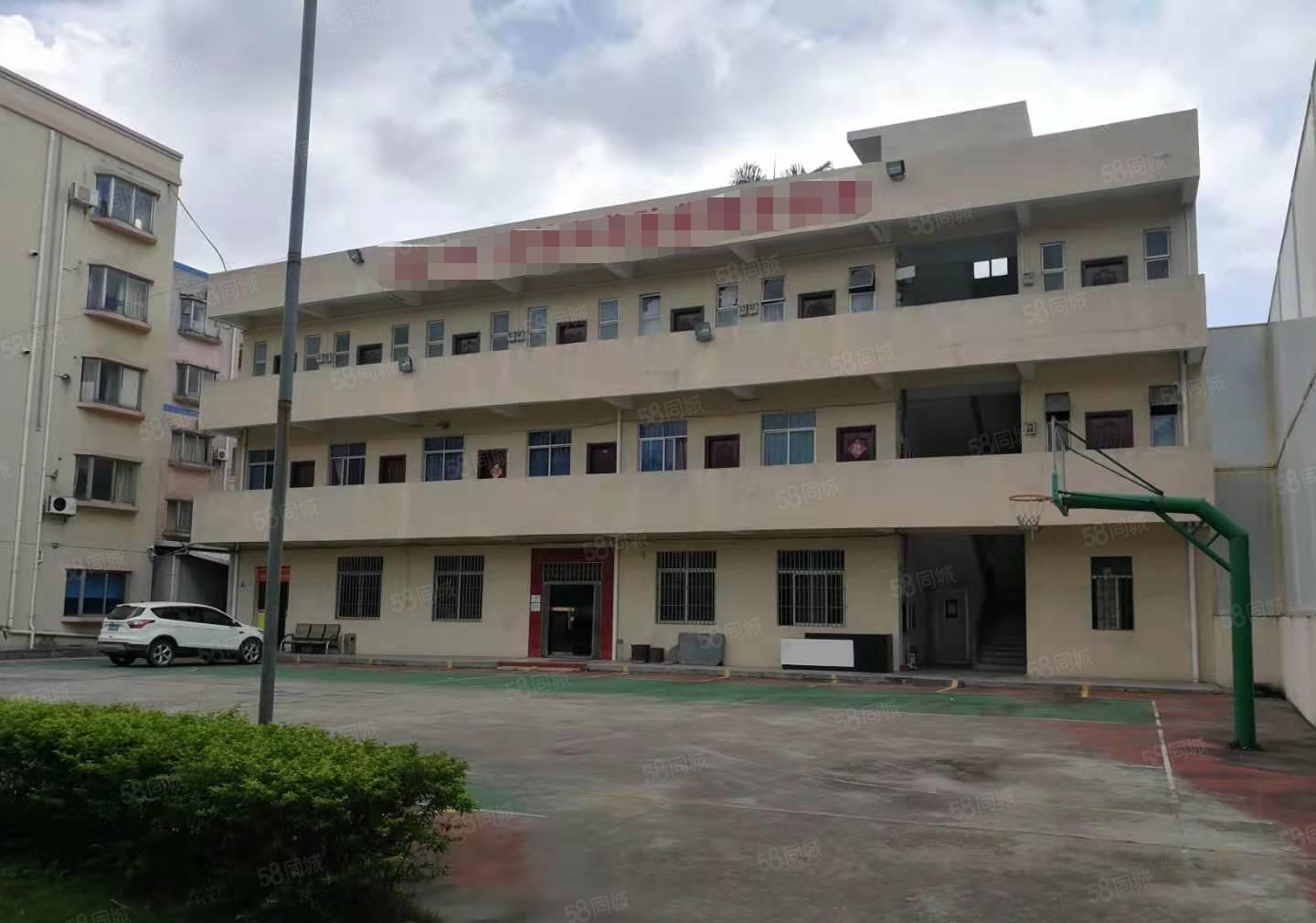 新出花园式厂房 原房东 研发小独院6000平  出租