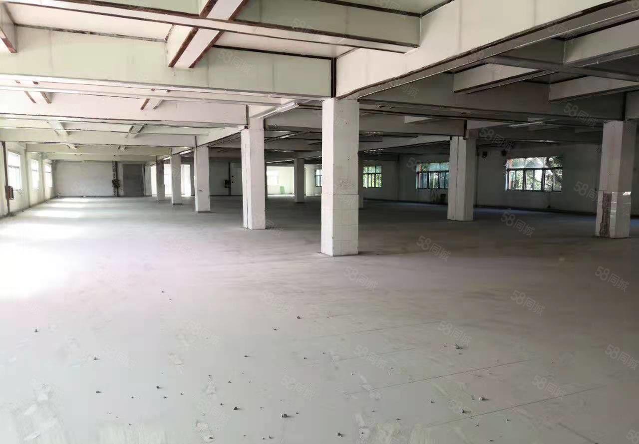 寮步标准厂房出租 全新装修空地超大，配套齐位置佳