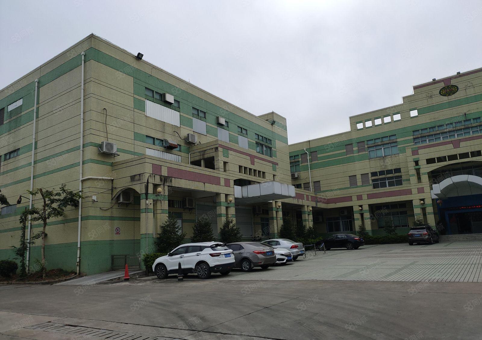 寮步 西溪 自用厂房出租 一楼1000平方,无公摊面积