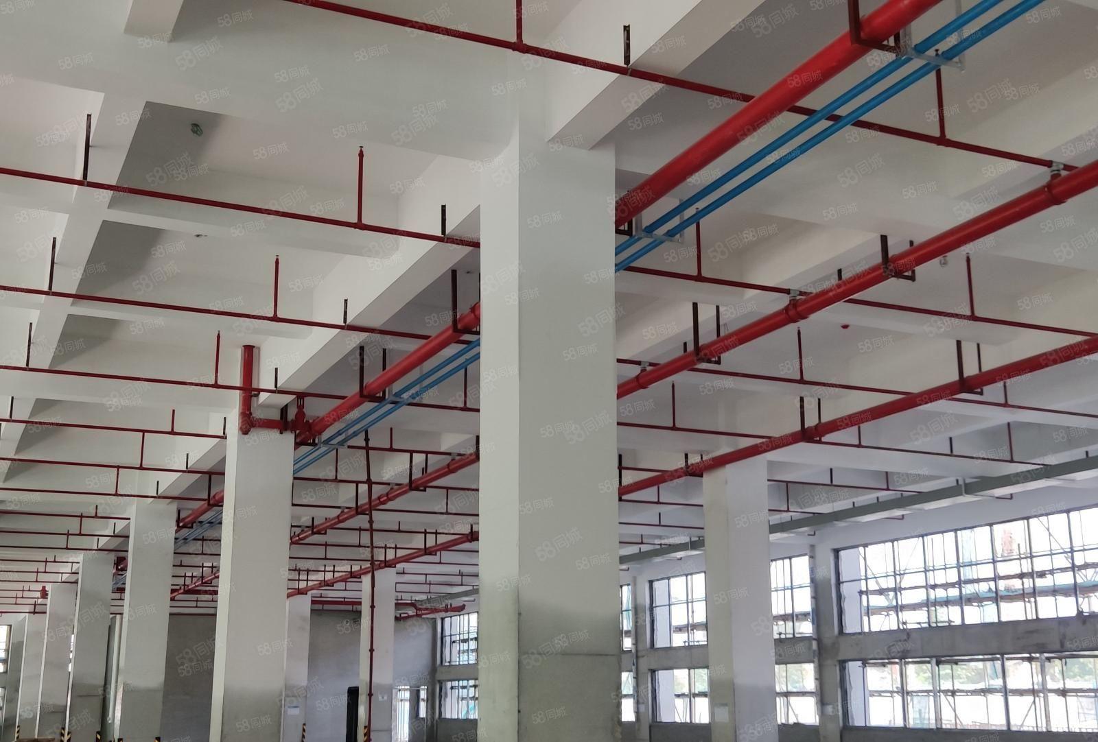 政府项目 华智新智汇科技园  水电到户 全新精装厂房可办环评