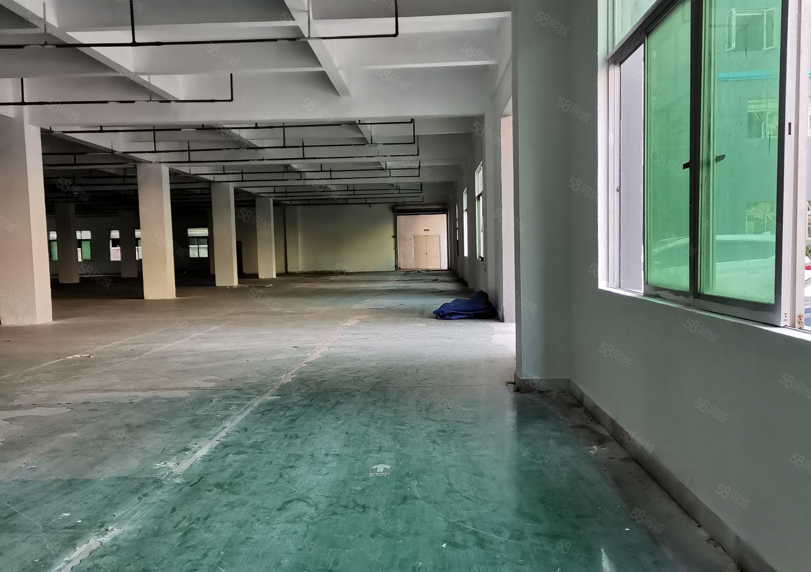 寮步泉塘低价厂房出租精装修交通方便形象好