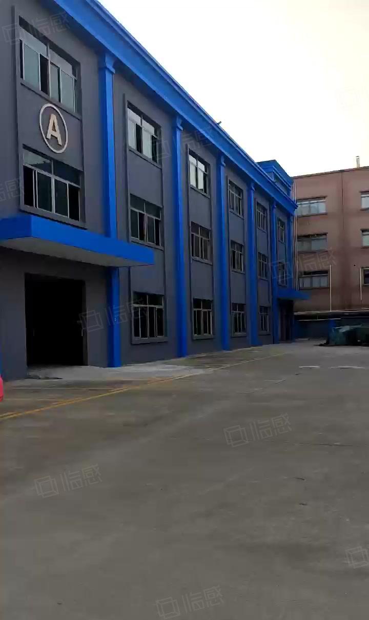 药勒带红本超大空地独门独院标准三层15300厂房低价大小分租