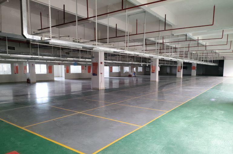 寮步(原房东独院)12600平独院厂房整租，国有红本，形象好