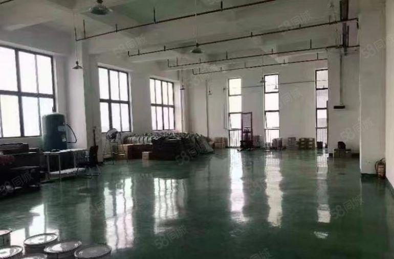 寮步 西溪 自用厂房出租 一楼1000平方,无公摊面积